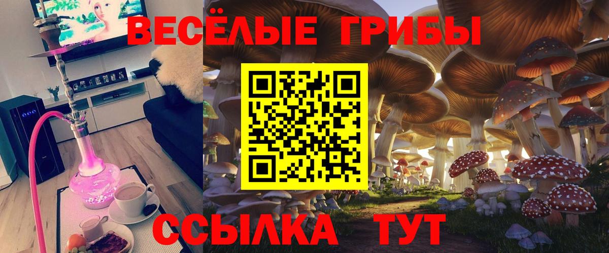 Галлюциногенные грибы мухоморы  Вход с VPN  Новоуральск  Псилоцибиновые грибы Psilocybine cubensis 