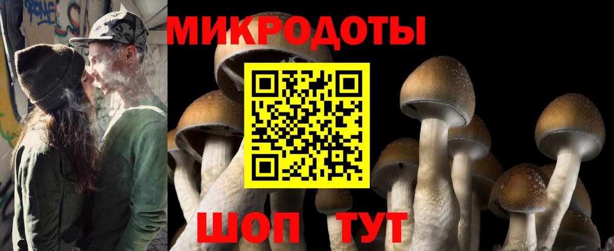 Псилоцибиновые грибы мицелий Новоуральск